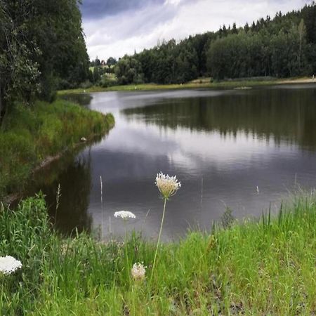 Cozy Holiday Home In G Ntersberge With Garden Güntersberge エクステリア 写真
