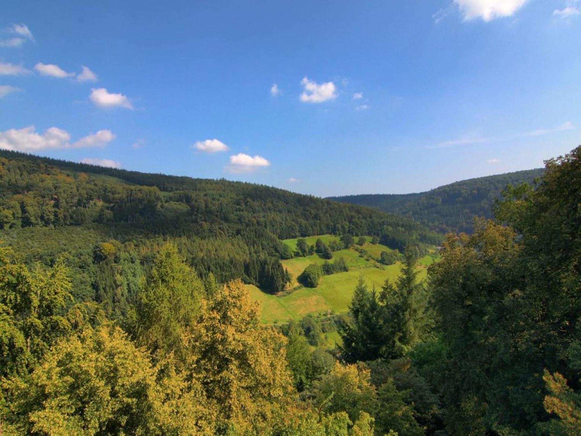 Cozy Holiday Home In G Ntersberge With Garden Güntersberge エクステリア 写真